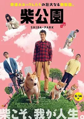 电影天天跟