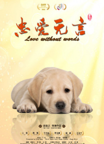 高清迷片101