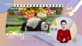 婷婷午夜激情